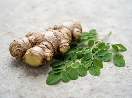 Everyday botanicals: ginger, turmeric and moringa, explained